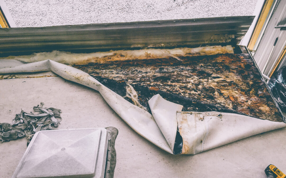 entretien préventif d'un véhicule récréatif